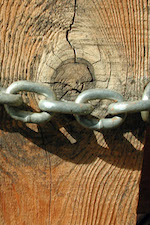 Photo: Symbol of Strength, Idyllwild, © by Harry Griswold